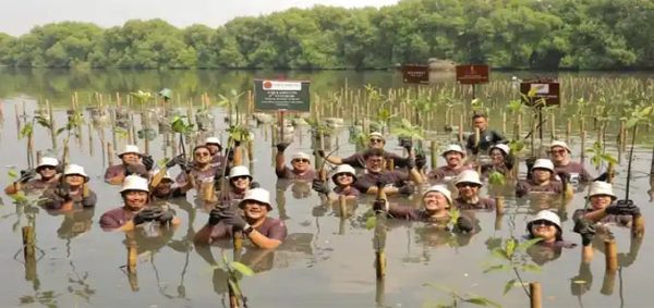 1,000 Mangrove Seedlings Planted on the Coast of the Seribu Islands