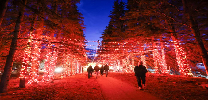 PHOTOS, The Past Week in Photography in The Bow Valley