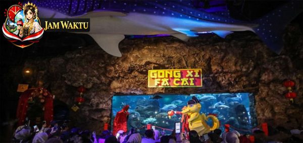 A Lively Chinese New Year Celebration at Sea World Ancol, Underwater Lion Dances Captivate Visitors